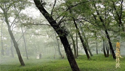 《青丘狐》曝绿野仙踪片花 娜扎强吻蒋劲夫