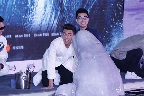 王大陆登陆人气锐不可挡