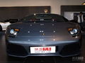 Murcielago