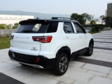����T3 