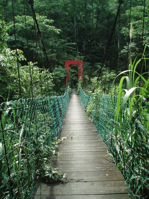 雾社分室在雾社事件发生后,变成镰田支队司令部,少将镰田弥彦进驻在此