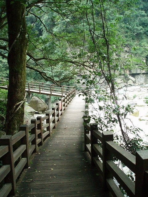 警察课雾社分室在雾社事件发生后,变成镰田支队司令部,少将镰田弥彦