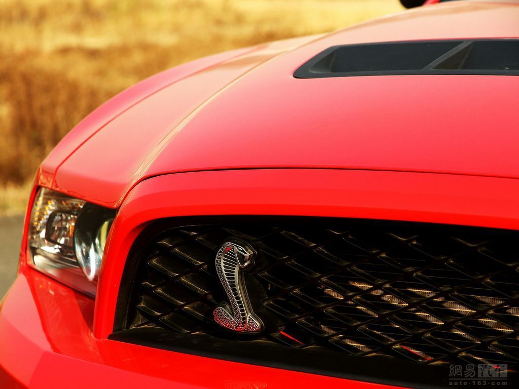 野马2011款shelby gt500 5.4mt